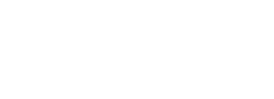 Eduardo Bismarck — Deputado Federal